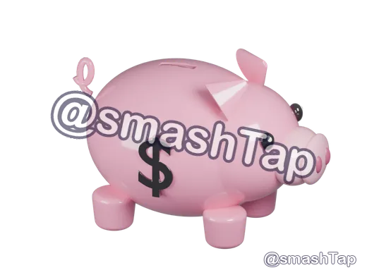 The piggy bank